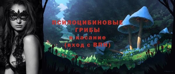 apvp Мегион