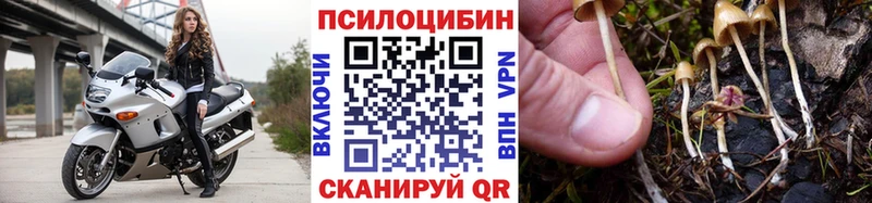 где продают   ОМГ ОМГ рабочий сайт  Псилоцибиновые грибы Cubensis  Пикалёво 